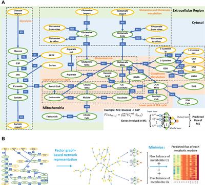 Flux estimation analysis systematically characterizes the metabolic shifts of the central metabolism pathway in human cancer